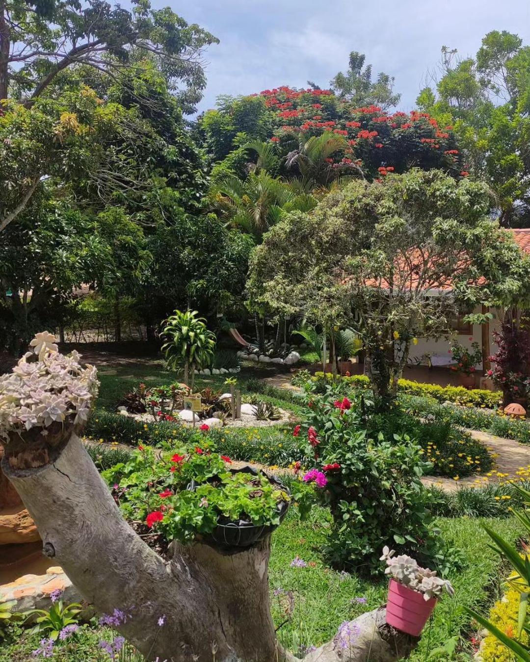 Hotel Boutique Santa Clara Mesa De Los Santos ロス・サントス エクステリア 写真